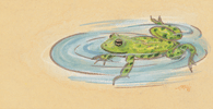 frog2